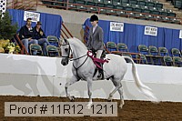 11r12_1211 proof