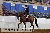 11r12_1214 proof