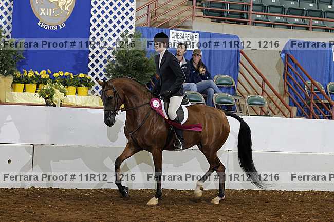 Proof 11r12_1216