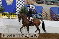 11r12_1216 proof