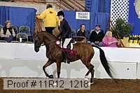 11r12_1218 proof