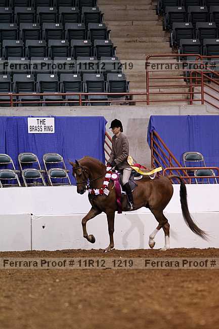 Proof 11r12_1219