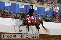 11r12_1222 proof