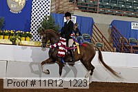 11r12_1223 proof