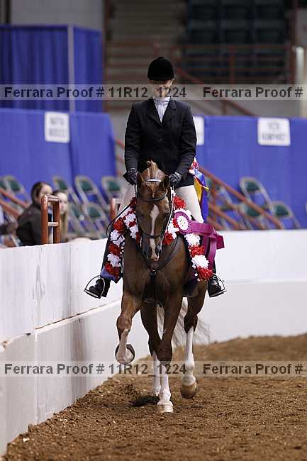 Proof 11r12_1224