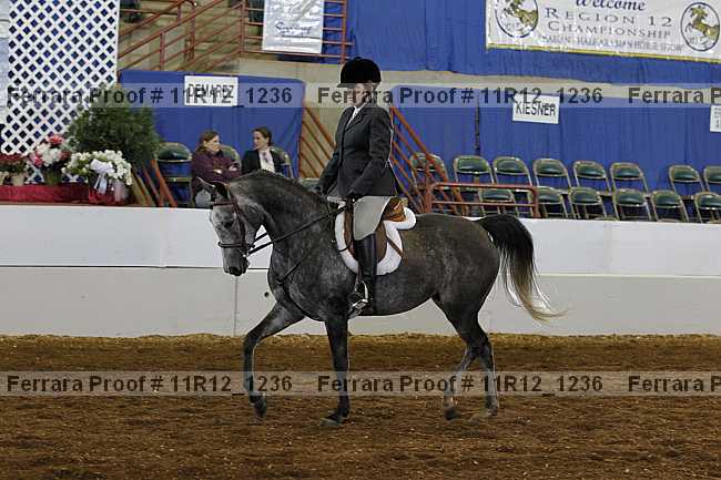 Proof 11r12_1236