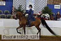 11r12_1271 proof