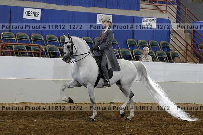 Proof 11r12_1272