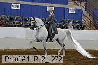 11r12_1272 proof