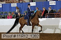 11r12_1282 proof