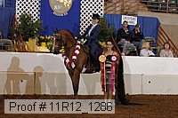 11r12_1286 proof