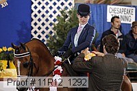 11r12_1292 proof