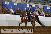 11r12_1301 proof