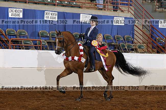 Proof 11r12_1302