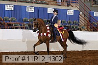 11r12_1302 proof