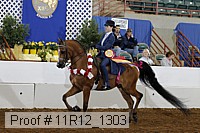 11r12_1303 proof