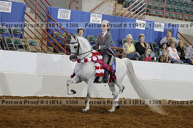 Proof 11r12_1308