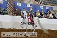 11r12_1308 proof