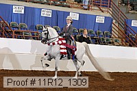 11r12_1309 proof