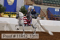 11r12_1311 proof