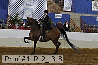 11r12_1318 proof