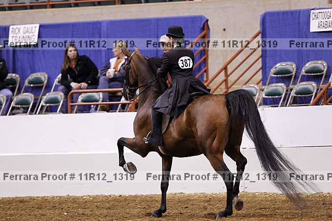 Proof 11r12_1319