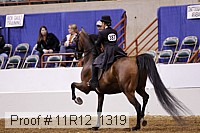 11r12_1319 proof