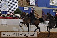 11r12_1321 proof