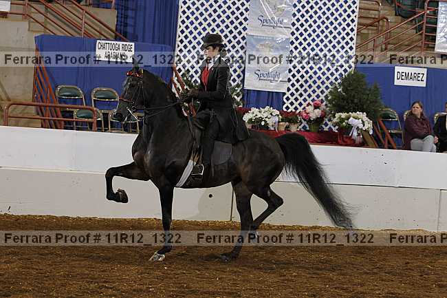 Proof 11r12_1322
