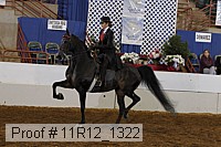 11r12_1322 proof