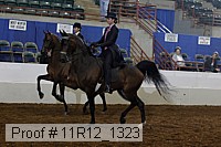 11r12_1323 proof