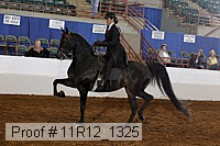 11r12_1325 proof