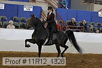 11r12_1328 proof