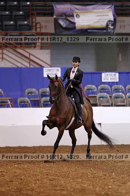 Proof 11r12_1329