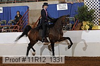 11r12_1331 proof