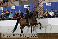 11r12_1332 proof