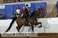 11r12_1333 proof