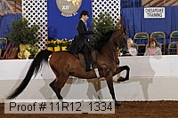 11r12_1334 proof