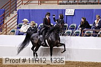 11r12_1335 proof