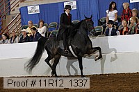 11r12_1337 proof