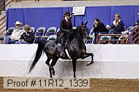 11r12_1339 proof