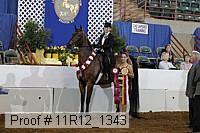 11r12_1343 proof