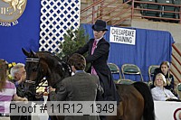 11r12_1349 proof