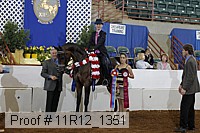 11r12_1351 proof