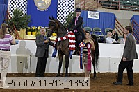 11r12_1353 proof