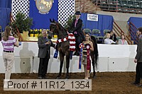 11r12_1354 proof