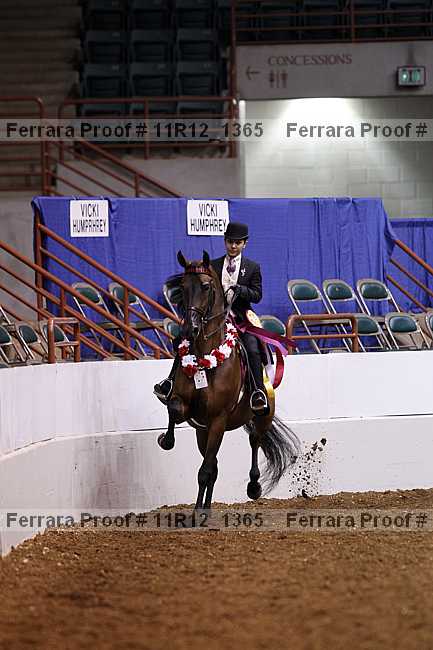 Proof 11r12_1365