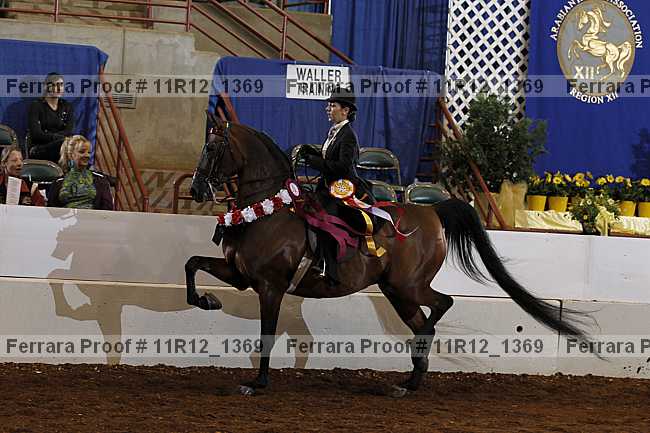 Proof 11r12_1369