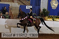 11r12_1369 proof