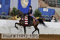 11r12_1373 proof